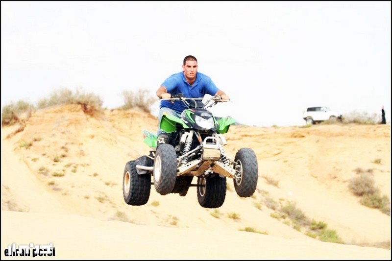 מור בפעולה. צילום אלירן פרסי