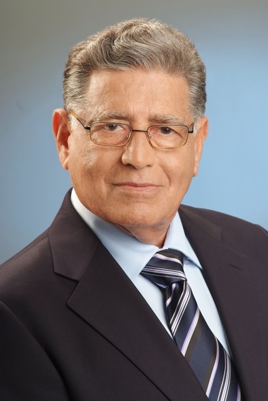 מחפש פתרון יצירתי. גוב ארי