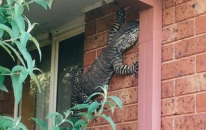 התמונה שצולמה בחודש שעבר