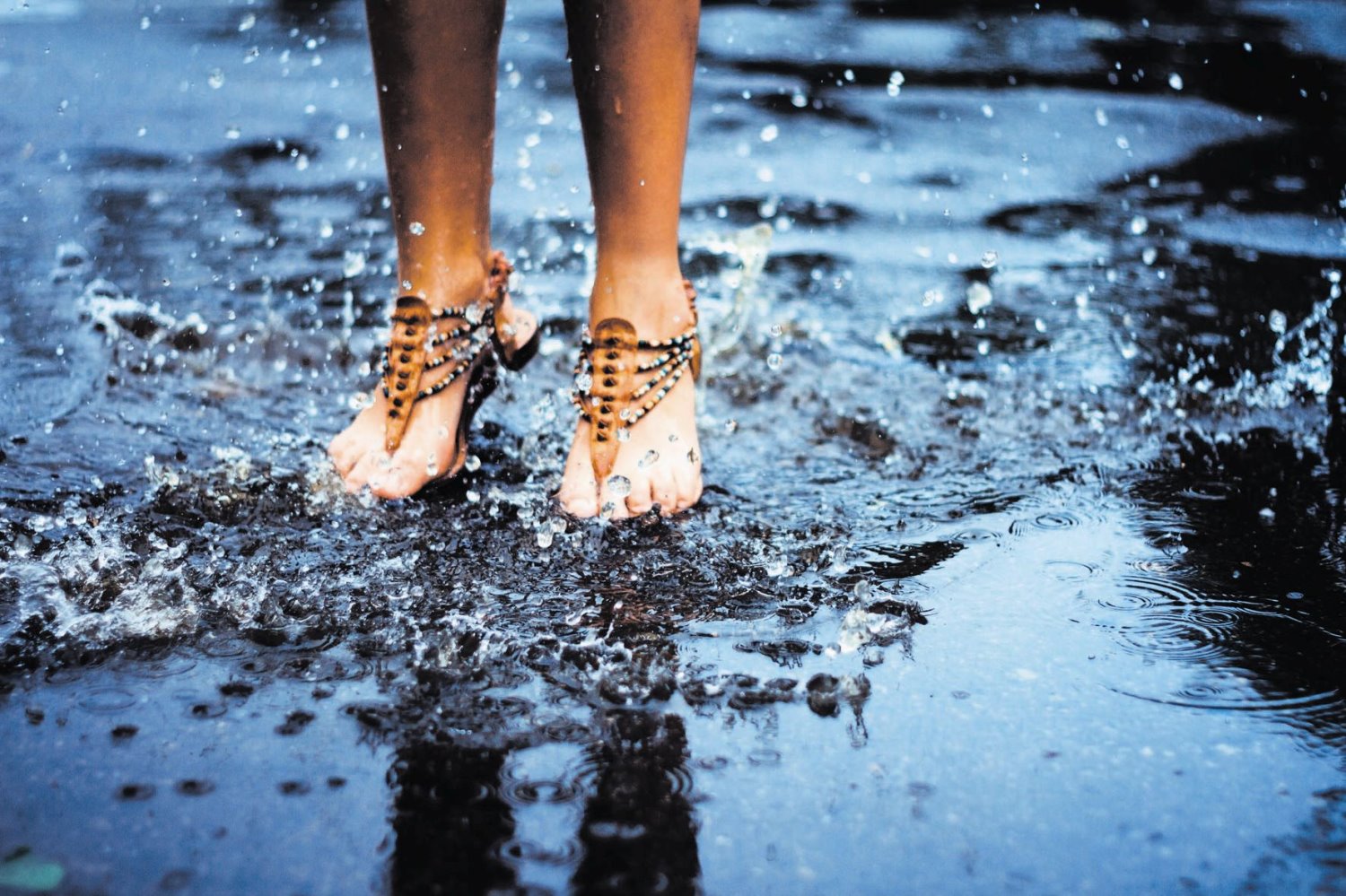 צילום: shutterstock