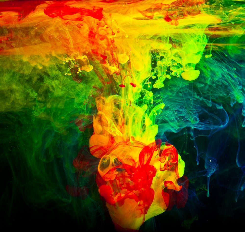 צילום: shutterstock צילום: shutterstock