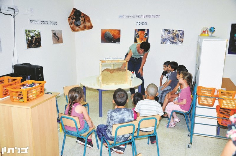 תמונת ארכיון