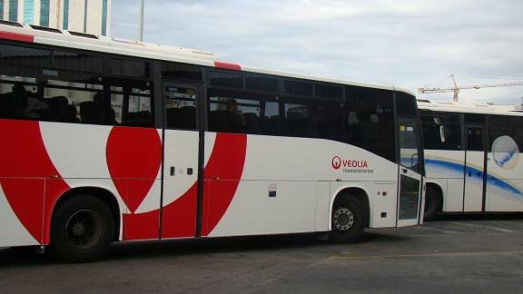 50 ש&quot;ח בלבד הולך ושוב