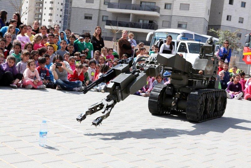 צילום: עמרם כהן