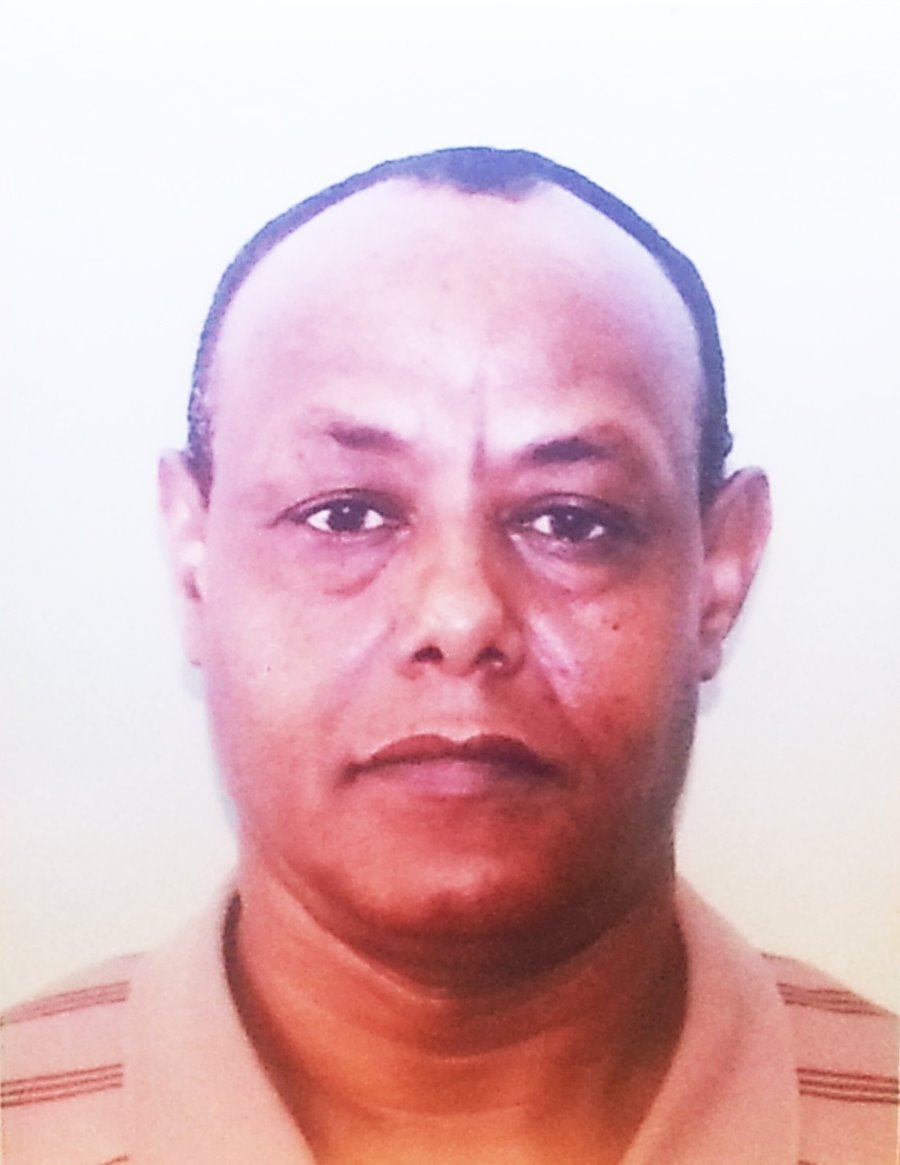 ארז קינדה. מגבש רשימה עצמאית