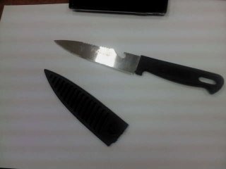 תמונת ארכיון