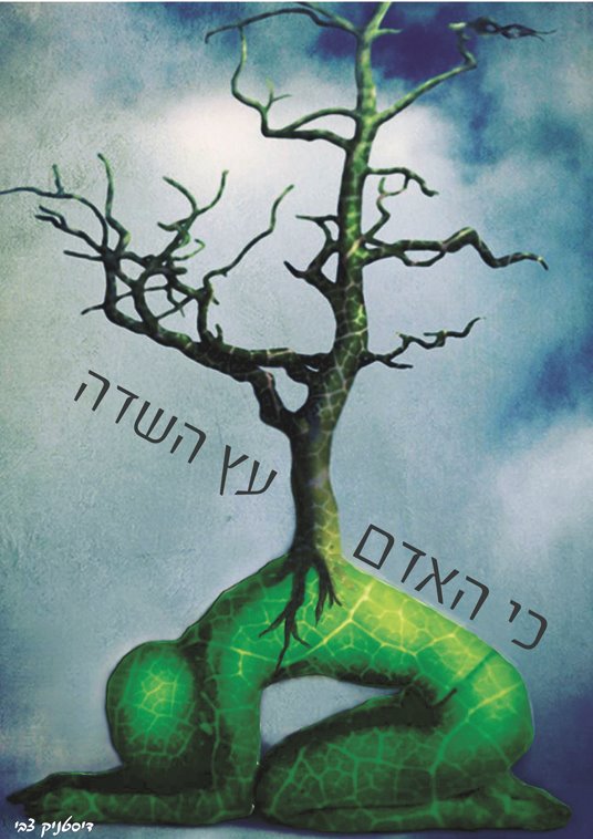 הכרזה של צחי דיסטניק. צין לשבח