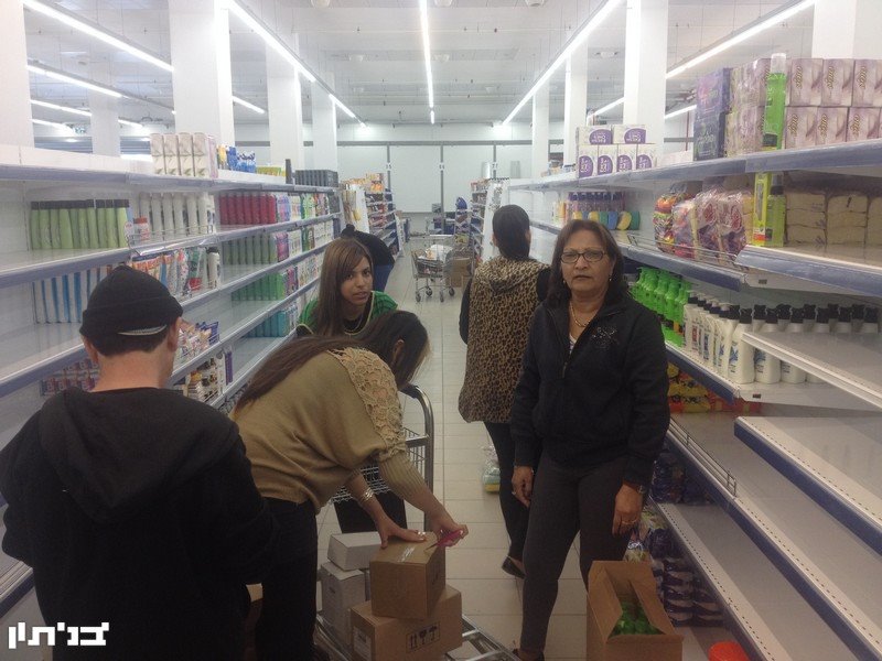 עבודת נמלים