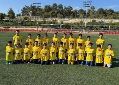 עיריית יבנה