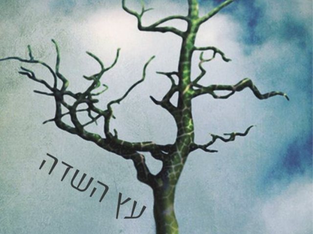 הכרזה של צחי דיסטניק. צין לשבח