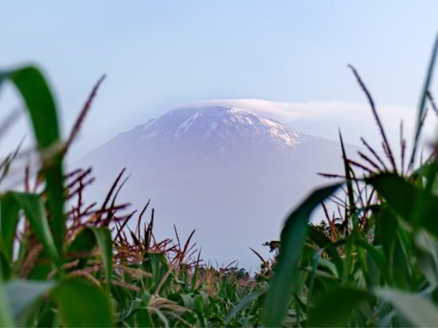 קרדיט-Photo by Nichika Sakurai on Unsplash