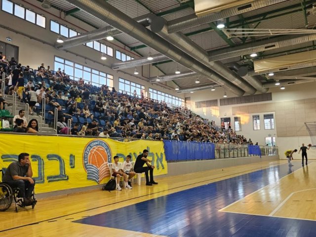 אוהד אליצור