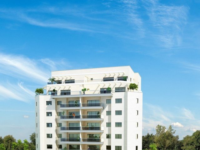 צרפתי שמעון. שלב ג'