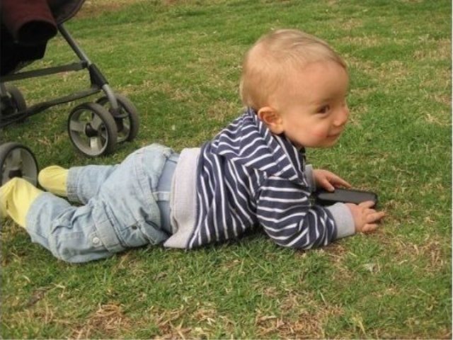 צילום: 'ויקיפדיה'