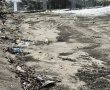 יבנה כבר לא ירוקה: תושבים מתריעים על מפגע ביוב, יתושים וריחות קשים בנחל השכונה