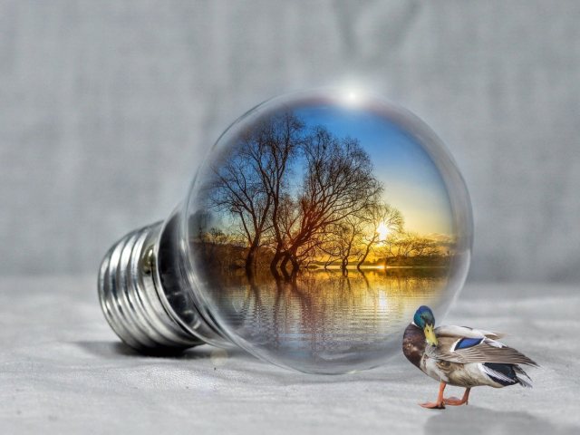 Pixabay