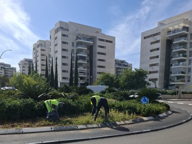 עיריית יבנה
