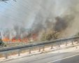צילום: ברוך פרידמן