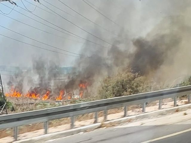 צילום: ברוך פרידמן