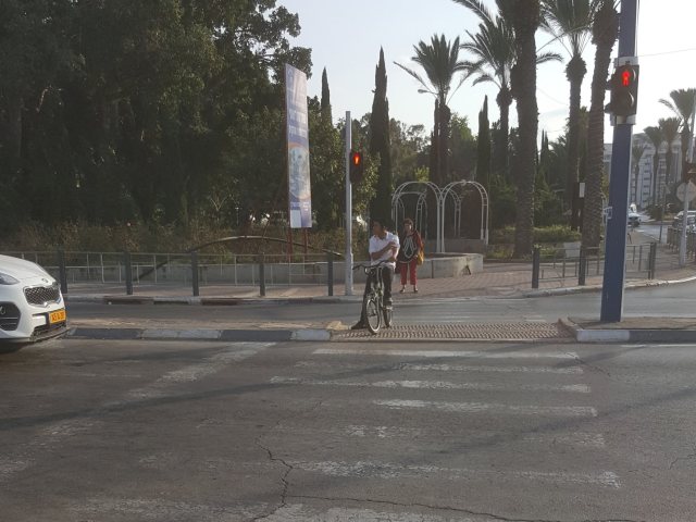 מעבר החציה בדואני | עמותת אור ירוק