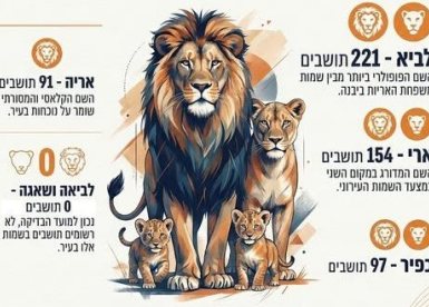 עיריית יבנה