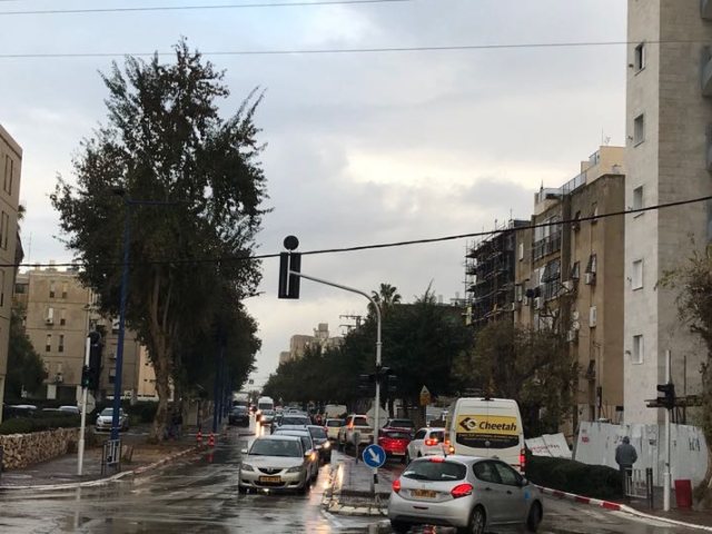 צילום: עמרם כהן