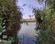אגם ירוחם צילום עדי ברקו
