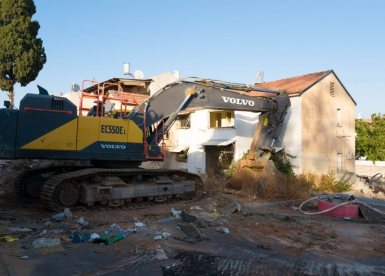 צילום: עמית אלפונטה
