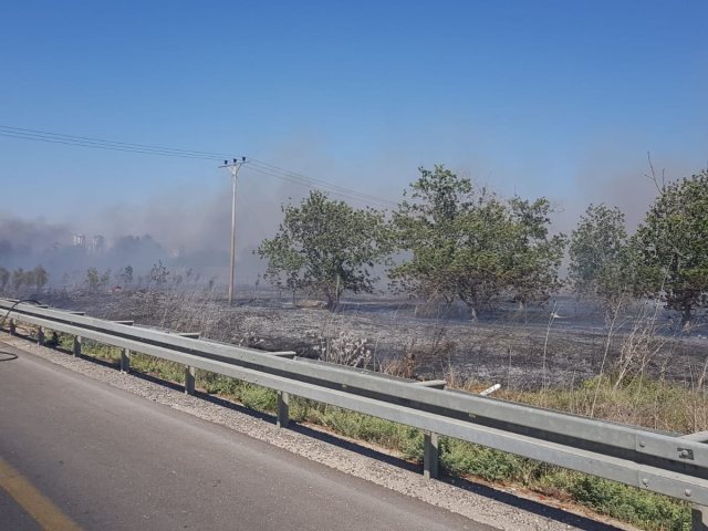 צילום: עיריית יבנה-שיטור עירוני