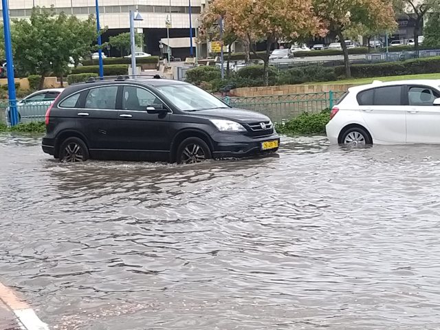 צילום: דוד מטודי