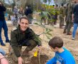 כסף על העצים... המשרד להגנת הסביבה ביוזמה להגדלת מספר העצים ברשויות