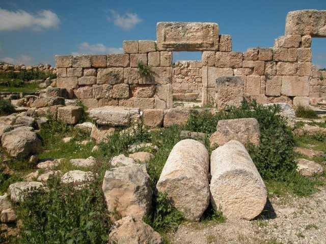 יער יתיר צילום קק"ל 
