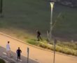 תיעוד מקומם ביבנה: נערים השחיתו את פארק גוב-ארי - אותרו ויישאו באחריות