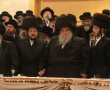 הרה"צ יזם לכבוד אד"ש: אלפי חסידי בעלזא יחגגו היום בירושלים הכנסת ספר תורה כפולה