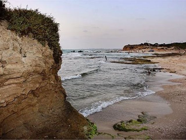 חוף פלמחים | צילום: אבי מועלם