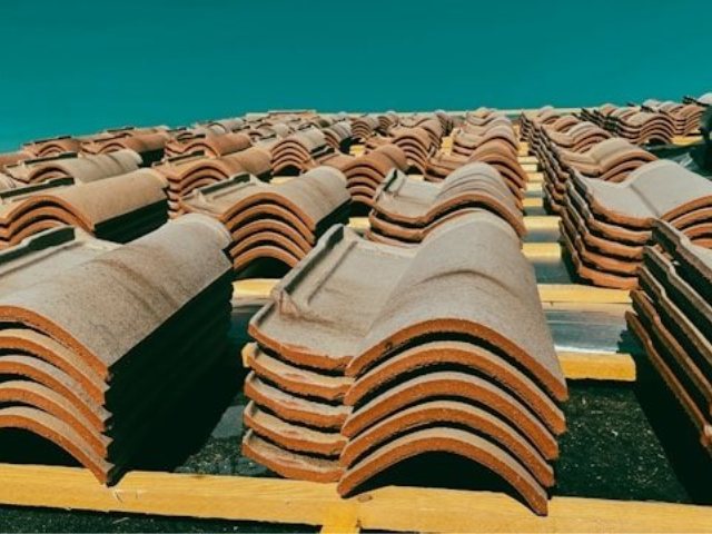 קרדיט-Photo by Jametlene Reskp on Unsplash
