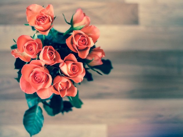 Pixabay