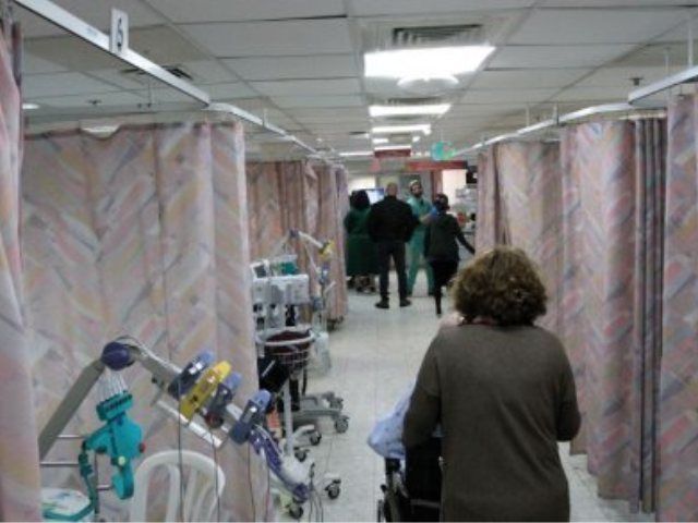 צילום: אסף פרידמן