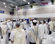 צילום: חב"ד