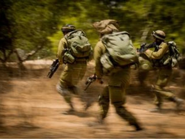 קרדיט: דובר צה״ל